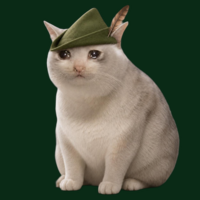 Feathercat illustration
